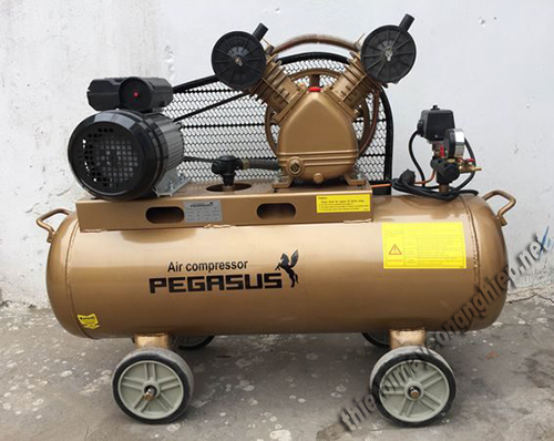 Thương hiệu Pegasus có nhiều dòng sản phẩm nén khí dạng piston
