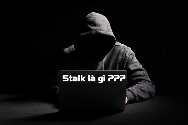 stalk là gì
