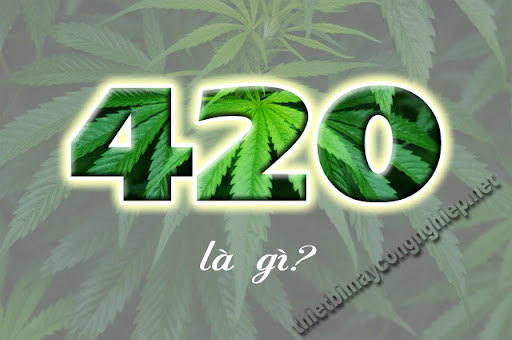 420 là gì