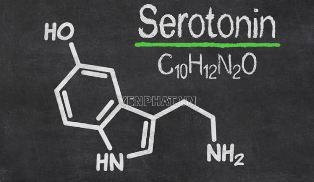 serotonin là gì